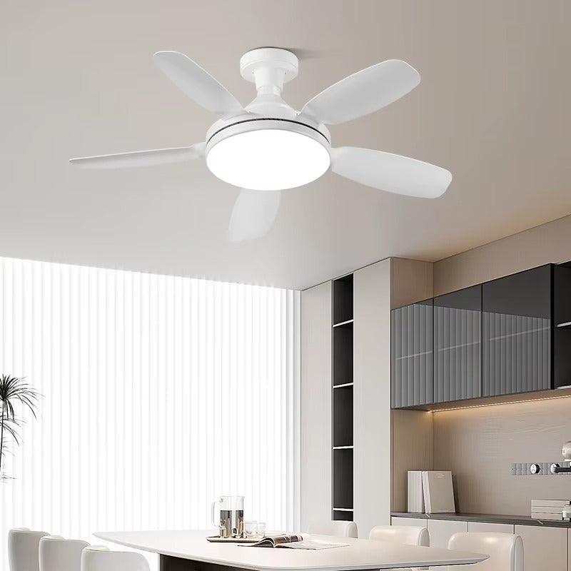 A modern white ceiling fan with a built-in light fixture, shown installed on a ceiling in a bright, contemporary dining and kitchen area.